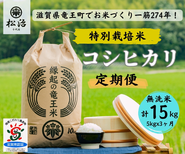 【 新米予約 】 定期便 3ヶ月 コシヒカリ 無洗米 5kg 縁起の竜王米 ( 令和6年産 先行予約 新米 こしひかり ｺｼﾋｶﾘ こしひかり ｺｼﾋｶﾘ こしひかり ｺｼﾋｶﾘ こしひかり ｺｼﾋｶﾘ こしひかり ｺｼﾋｶﾘ こしひかり ｺｼﾋｶﾘ ) こしひかり ｺｼﾋｶﾘ こしひかり ｺｼﾋｶﾘ こしひかり ｺｼﾋｶﾘ こしひかり ｺｼﾋｶﾘ こしひかり ｺｼﾋｶﾘ こしひかり ｺｼﾋｶﾘ こしひかり ｺｼﾋｶﾘ こしひかり ｺｼﾋｶﾘ こしひかり ｺｼﾋｶﾘ こしひかり ｺｼﾋｶﾘ こしひかり ｺｼ