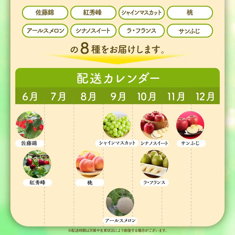 【全8回】 フルーツ定期便 旬のフルーツ 8種類