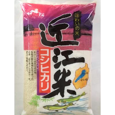 ふるさと納税 近江八幡市 【令和7年産】近江米こしひかり5kg　精米