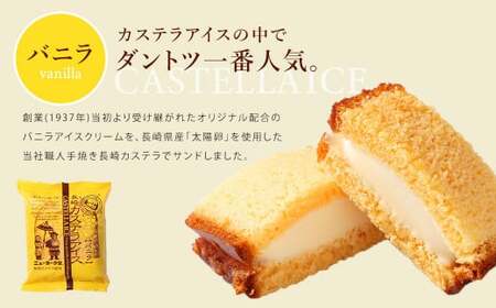 バラエティ番組出演 長崎カステラアイス (バニラ) 計10個  ／ ニューヨーク堂 カステラアイス カステラ アイス デザート スイーツ お菓子 おやつ 冷凍 人気 ご当地 お取り寄せ 長崎 長崎県 