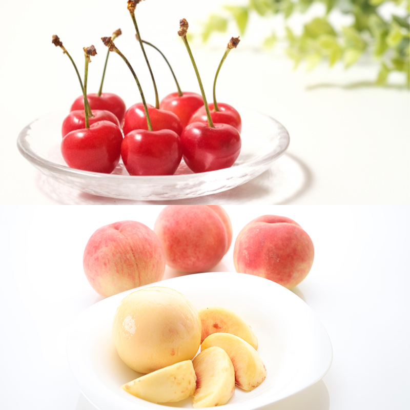 【定期便5回】至高の味わい便 極みミニ 【令和8年産先行予約】FS25-618