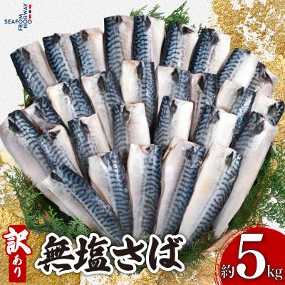 ふるさと納税 銚子市 訳あり　無塩さば　約5kg