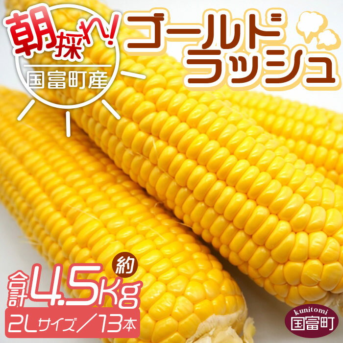 【ふるさと納税】【予約受付】＜朝採れ！国富町産ゴールドラッシュ（4.5kg 2Lサイズ 13本）＞※入金確認後、2026年5月下旬～7月上旬迄に順次出荷します。トウモロコシ スイートコーン 野菜 穀物 甘い サンクールシステム 宮崎県 国富町【冷蔵】