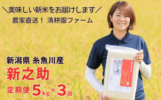 令和6年産新米予約 米【定期便】新之助 5kg×3ヶ月 計15kg 新潟県糸魚川産  農家直送 真空パック 清耕園ファーム しんのすけ 毎月お届け ギフトにも【お米 こめ 3回 3か月 2024】