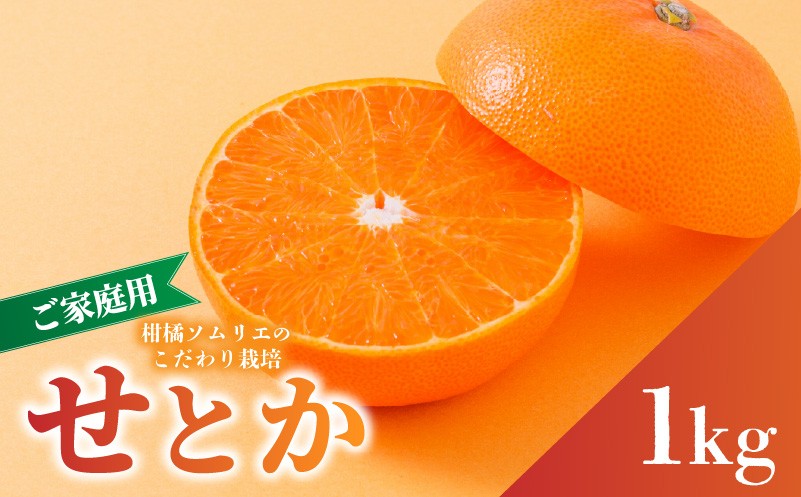 
                  せとか B品 家庭用 お試し 1kg 【順次発送中】 | セトカ みかん 蜜柑 柑橘 甘い 高級 先行 予約 果物 フルーツ おすすめ 人気 愛媛三大柑橘（ 紅まどんな せとか 甘平 ） 愛媛 松山
                