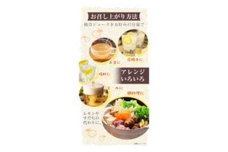 木屋平特産ゆず「柚奈」果汁100％ 3本 