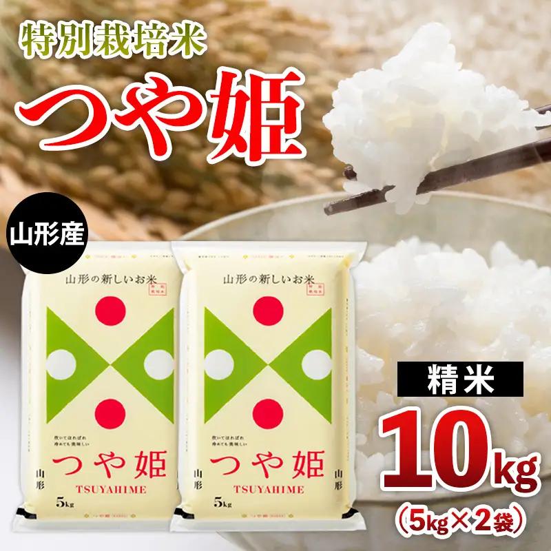 山形産 特別栽培米 つや姫 10kg(5kg×2) FZ26-769