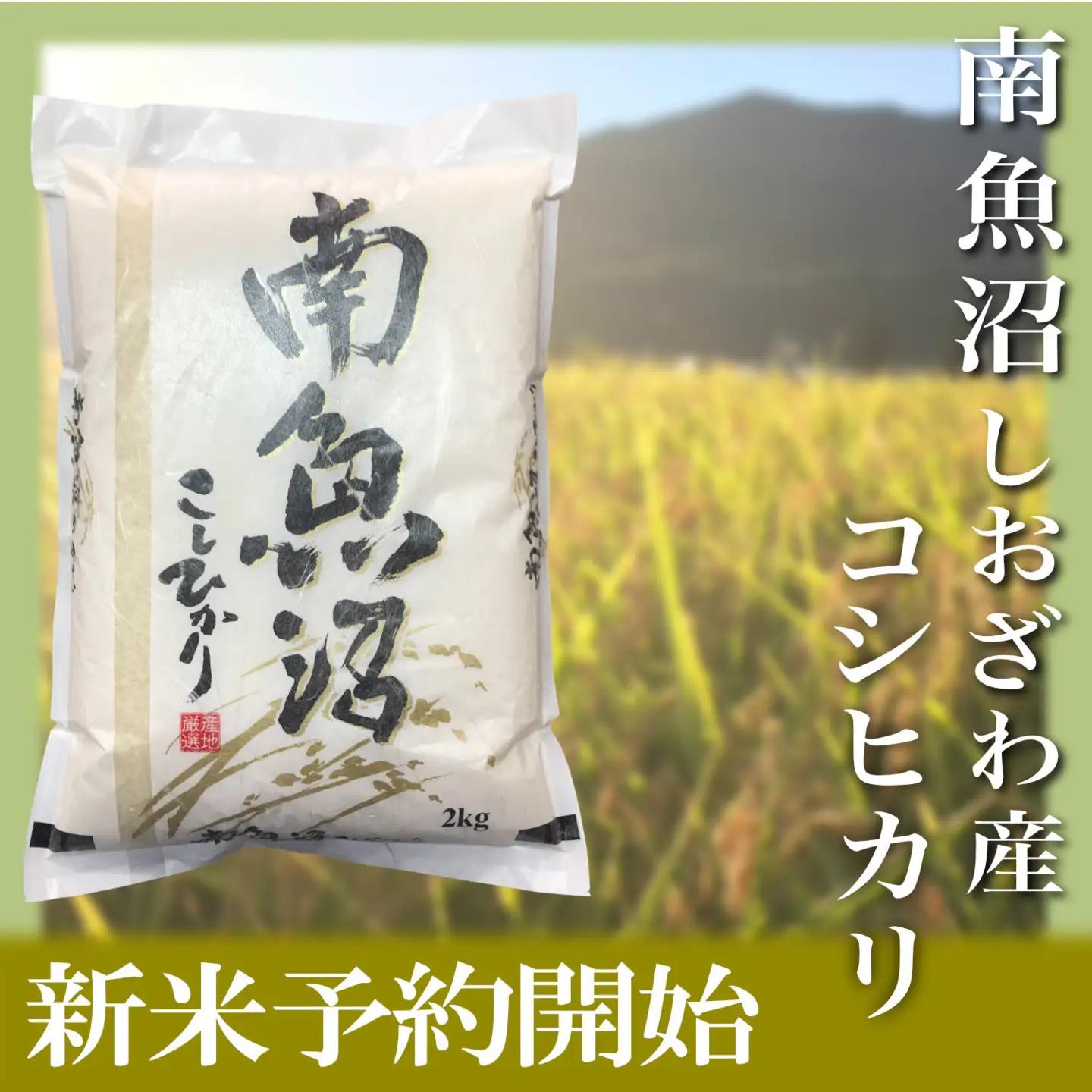 【令和8年　新米予約】定期便／２kg×6ヶ月 生産者限定 南魚沼しおざわ産コシヒカリ｜こしひかり【2026年10月上旬から1ヶ月以内に順次発送予定】