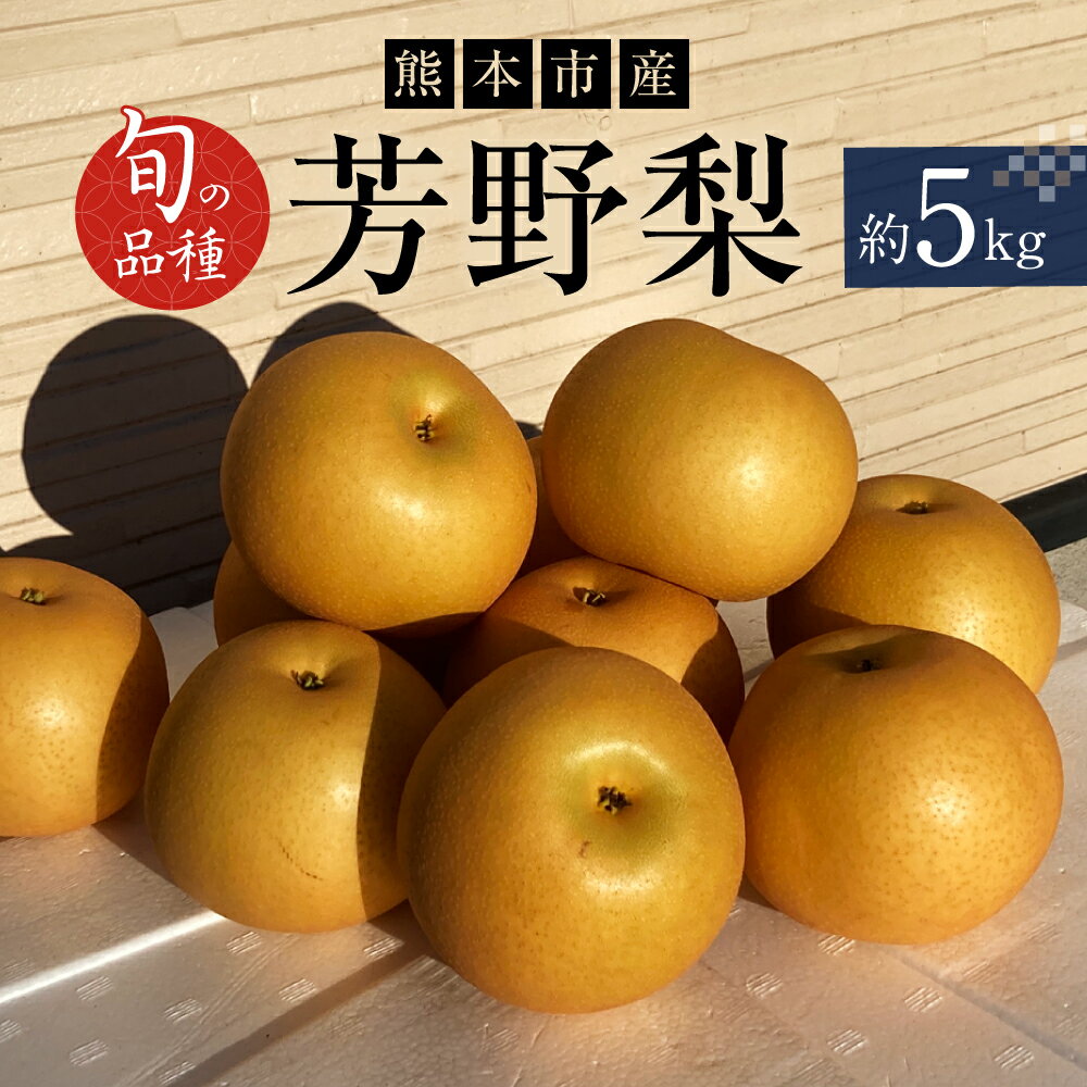 【ふるさと納税】＜ R8年熊本地震復興支援 ＞ 熊本市産 芳野梨 旬の品種 5kg 7玉～18玉 なし 梨 ナシ フルーツ 果物 くだもの 果実 冷蔵 熊本市 熊本県 送料無料 【2026年8月下旬～9月下旬迄発送予定】