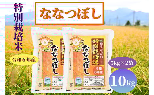 特別栽培米　ななつぼし　10kg