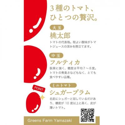 ふるさと納税 美瑛町 トマトジュース Greens Farm Yamazaki　朝日のトマトジュース 6本セット 1L |  | 02