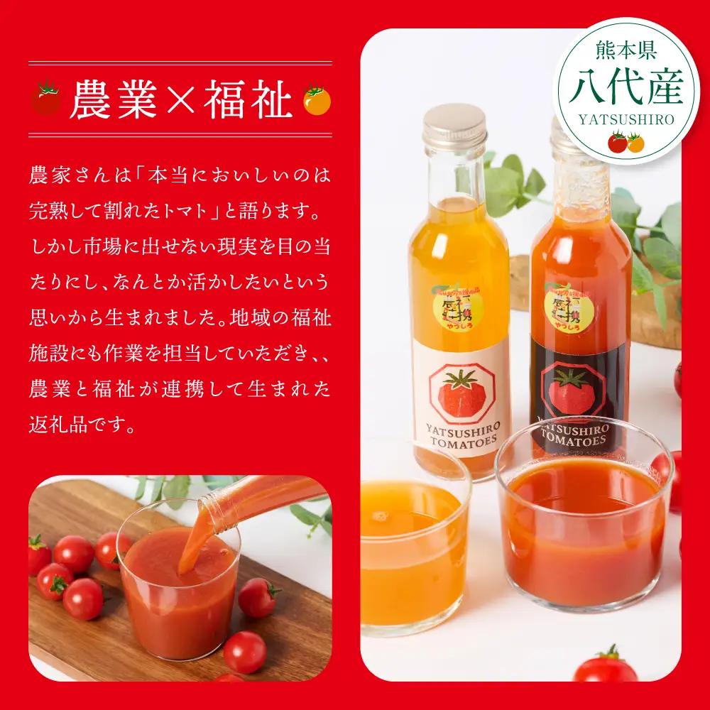 八代産完熟ミニとまとジュース 180ml（赤・白） 2本セット ミニトマト ジュース