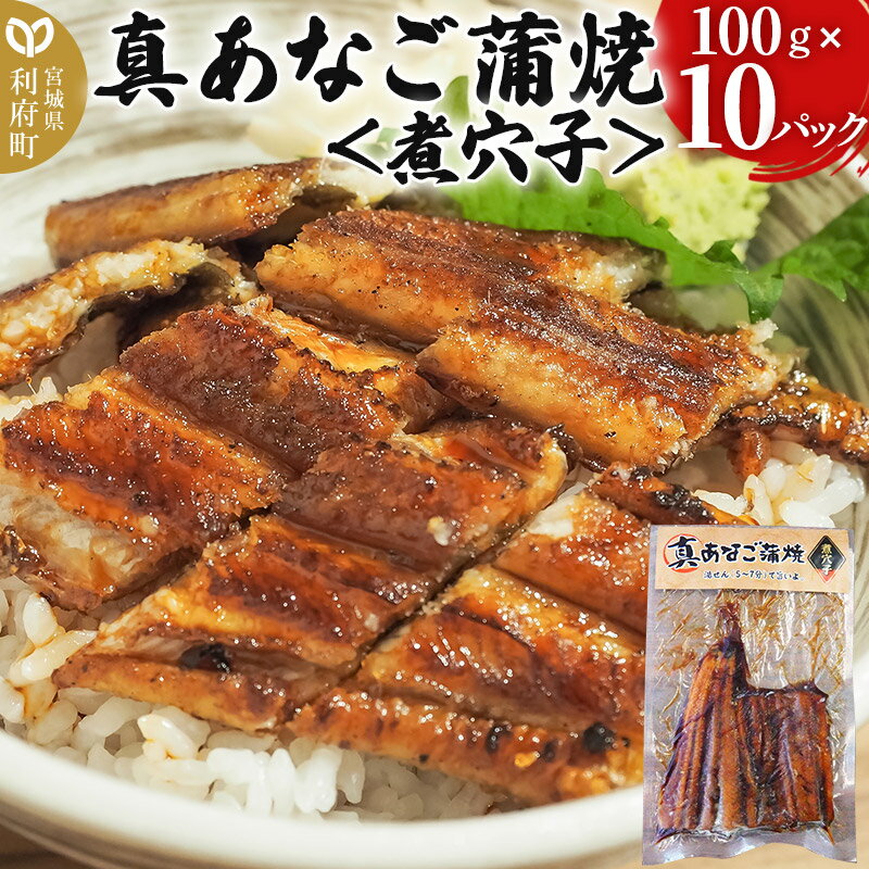 【ふるさと納税】真あなご蒲焼＜煮穴子＞ 100g×10P