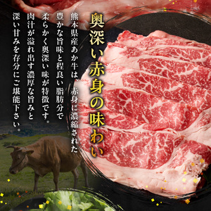 オアシス九州 熊本県産あか牛 肩ロース 600ｇ (300ｇ×2) _U117-0038