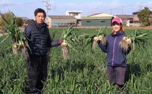 【完熟玉ねぎ予約！】中山さんちから直送　淡路島たまねぎ５?　◆R8.6月下旬〜発送