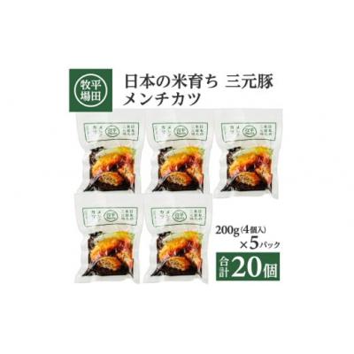 ふるさと納税 酒田市 【平田牧場】三元豚◆メンチカツ　20個(4個入×5)