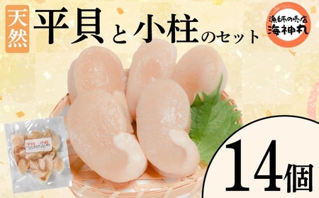 平貝 と小柱のセット 14個 冷凍 平貝 タイラギ 貝 魚貝類 魚貝 タイラガイ 魚介 貝類 冷凍 BBQ タイラギ 貝 魚貝類