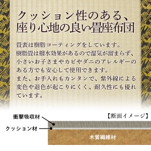 s292 《毎月数量限定》畳座（50×450×450mm・1枚）クッション性が高く耐久性も◎【宮畳工場】