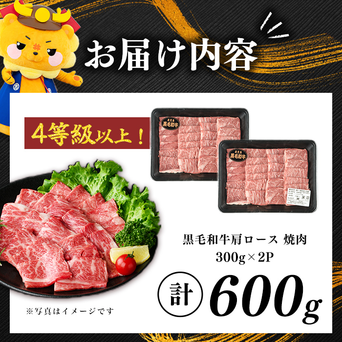 鹿児島県産黒毛和牛肩ロース焼肉用 (計600g・300g×2P) 肉 牛肉 4等級 冷凍 焼肉 焼肉用 焼き肉 炒め物 黒毛和牛 鹿児島県産 a4-114