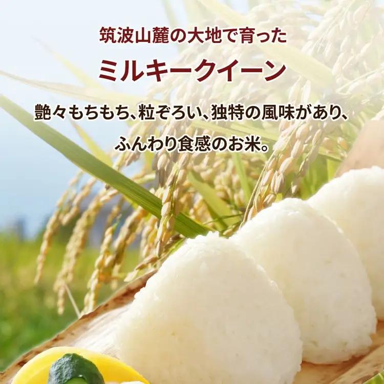 【先行予約】【定期便 3ヶ月】令和8年産 茨城県産 ミルキークイーン 精米8kg（2kg×4袋） ※2026年11月～発送