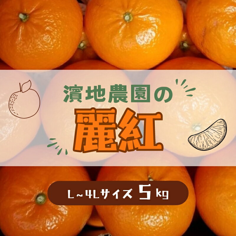 【ふるさと納税】 麗紅 濱地農園の 麗紅 (れいこう) 約5kg（箱込み） L-4Lサイズ 不揃い 【2026年2月初旬から3月初旬までに順次発送】 みかん ミカン 蜜柑 フルーツ 果物 くだもの 産地直送 甘い ジューシー 数量限定 送料無料