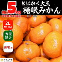 【ふるさと納税】熟成 みかん とにかく 大玉 箱込5kg ( 内容量 4.4kg )2Lサイズ以上 秀品 優品 混合 有田みかん 和歌山産 産地直送 家庭用【みかんの会】 | 和歌山 フルーツ 果物 くだもの かんきつ 柑橘 柑橘類 みかんの会 送料込み 送料無料