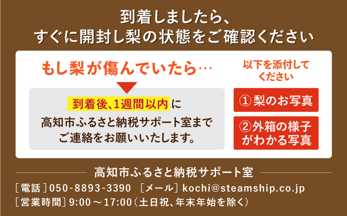 【先行予約】 新高梨 約3kg（5玉） 〈2026年9月20日〜10月末発送〉 / 高知 針木 新高梨 梨 和梨 果物 フルーツ デザート 【川渕果樹園】 [ATHX002]