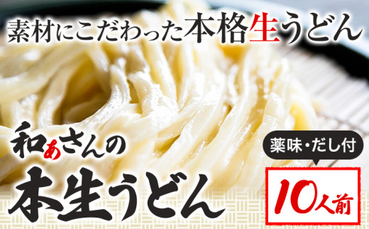 おうどんセット 10人前 《90日以内に出荷予定(土日祝除く)》和ぁさん家、株式会社栄工製作所 うどん 麺 生麺 生うどん 本格 手作り 和食 ご家庭用 こだわり お手軽 ギフト セット 薬味 だし付き 徳島県 美馬市 st-p