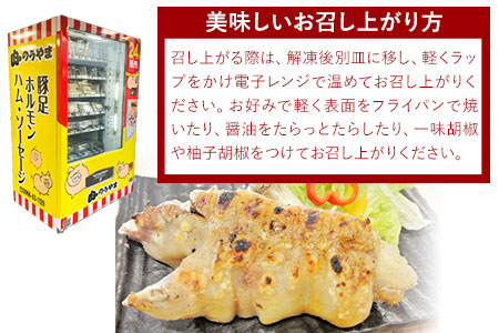 九州産 炭火焼き ぷるぷる豚足10本（2本入×5本）《60日以内に出荷予定(土日祝除く)》熊本県 葦北郡 津奈木町 肉ののうやま 豚