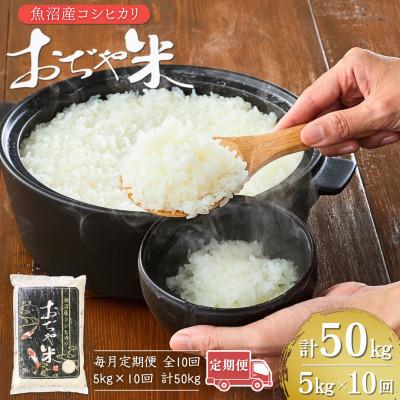 ふるさと納税 小千谷市 【毎月定期便】新潟県 魚沼産 コシヒカリ 精米5kg お申込み後に精米 おぢや米全10回