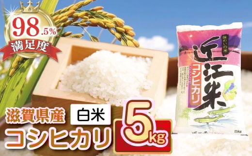 
            新米 令和7年産 こしひかり 5kg 【T019W2】 5kg 米 こしひかり 新米 コシヒカリ おこめ 贈り物 人気米 ご飯 白米 コメ 贈答 滋賀県 近江八幡市
          