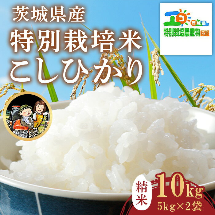 【ふるさと納税】742 茨城県産 こしひかり 特別栽培米 10kg (5kg×2袋) 令和7年産 精米【米農家もろちゃん】