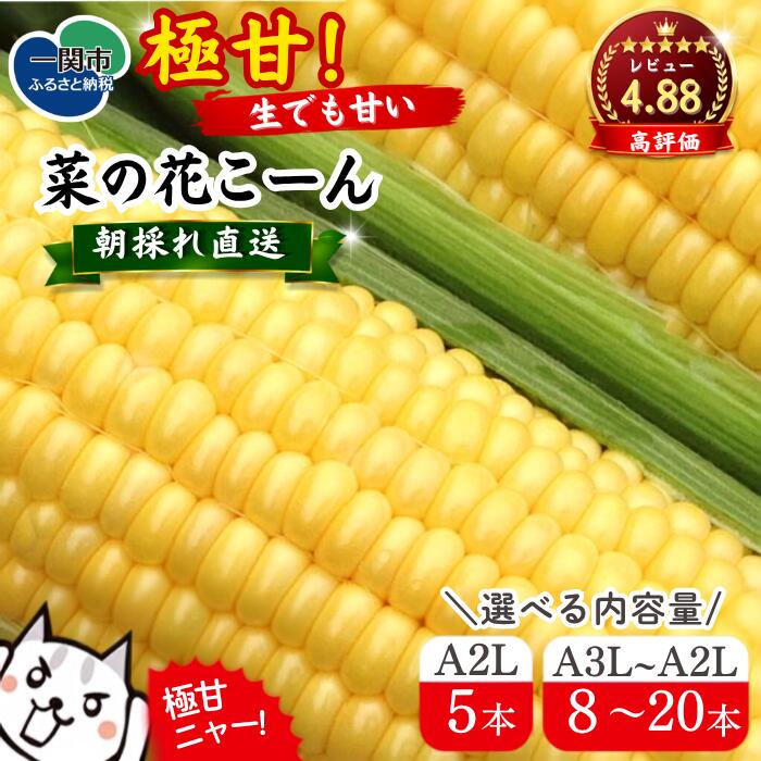 【ふるさと納税】先行予約 高評価4.88 とうもろこし 菜の花こーん 朝獲れ直送 選べる内容量 5〜20本 A3L〜A2Lサイズ ふるさと納税 とうもろこし コーン 高糖度 フルーツ 野菜 朝採れ 有機栽培 農家直送 新鮮 人気 高評価 岩手県 一関市 数量限定 7月下旬～発送予定