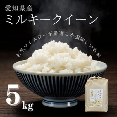 ふるさと納税 美浜町 愛知県産 ミルキークイーン 5kg 愛知県 美浜町