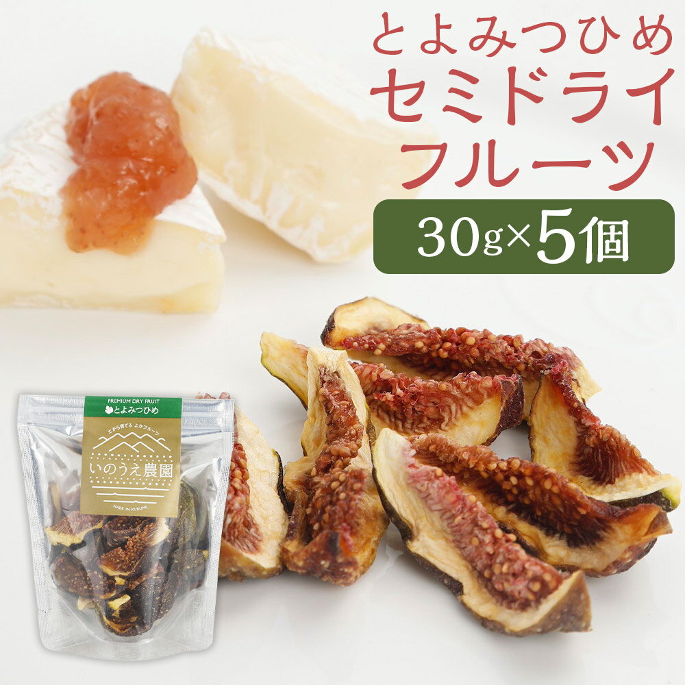 【ふるさと納税】福岡ブランド！とよみつひめ セミドライフルーツ5個セット いちじく イチジク 無花果 フルーツ 果物 くだもの 常温 プレゼント ギフト 贈り物 ドライフルーツ 送料無料