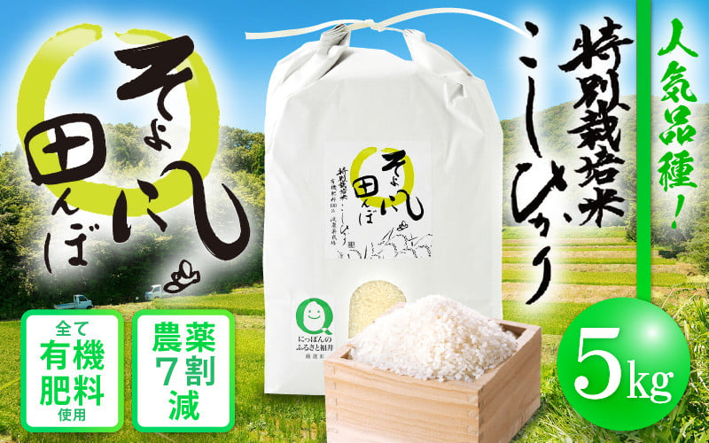 
令和6年産 新米 特別栽培米 コシヒカリ 5kg 福井県産米（有機肥料100% 農薬7割減）【令和6年産 人気品種】 [e10-a014]
