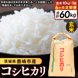 先行予約 令和8年産【6ヶ月定期便】 米 コシヒカリ 10kg × 6回 玄米 鹿嶋市産