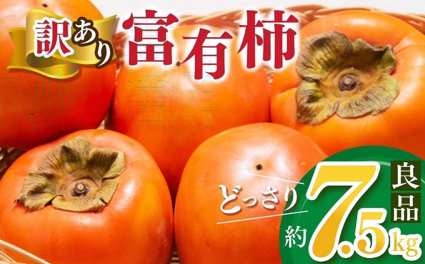 
            【家庭用】 どっさり わけあり 富有柿  約7.5kg | フルーツ くだもの 果物 柿 かき カキ 訳 あり わけあり 家庭用 自宅用 どっさり たっぷり 奈良県 五條市
          