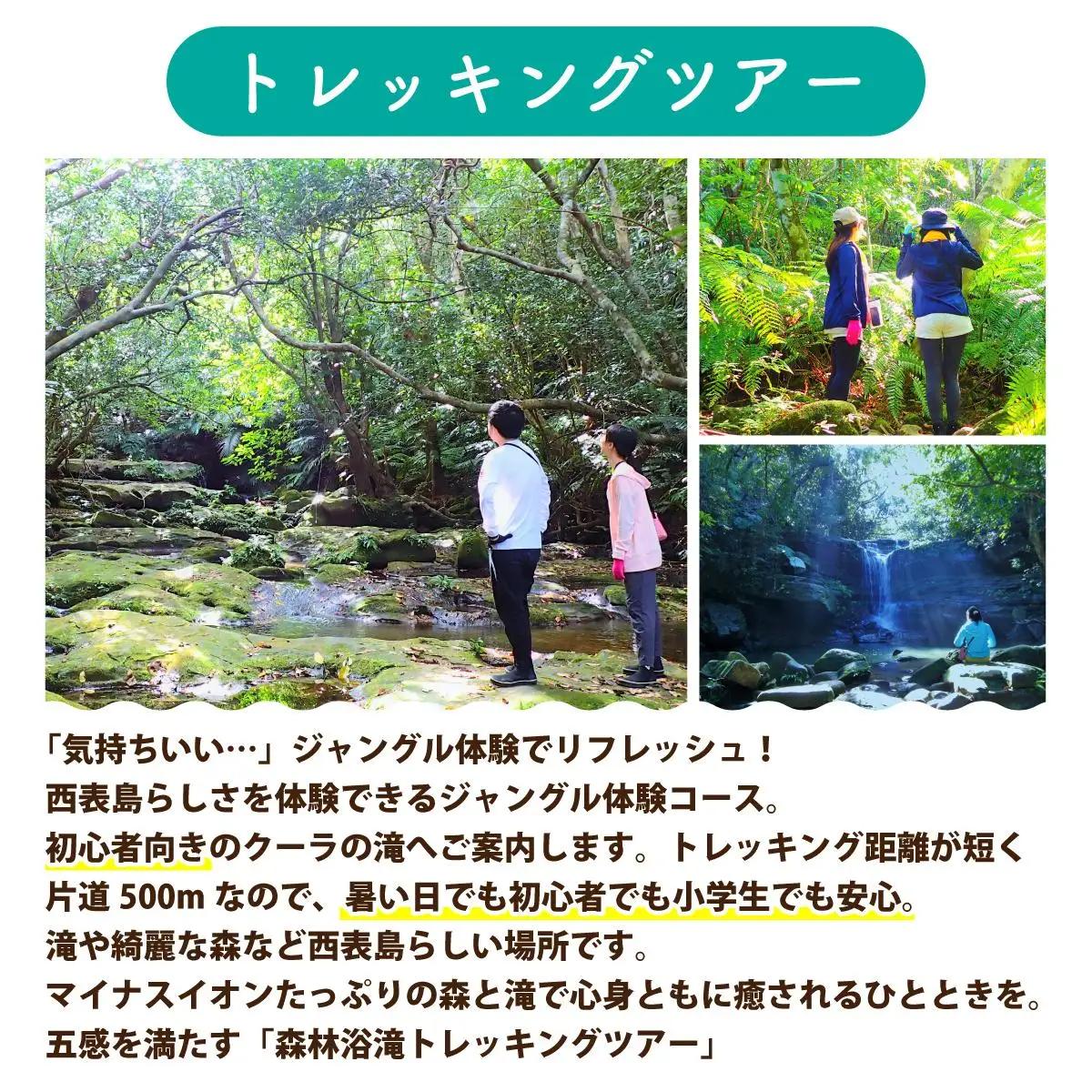 西表島 半日森林浴滝トレッキングツアー 小人1名分