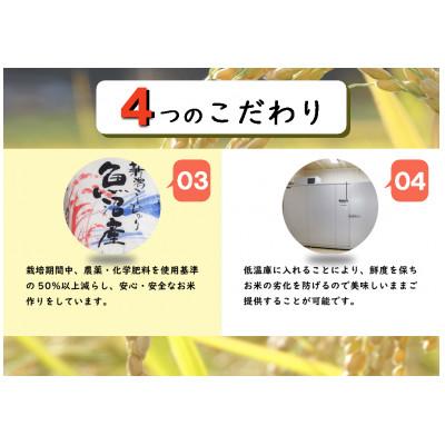 ふるさと納税 十日町市 【毎月定期便】新潟県魚沼産コシヒカリ 厳選 低温管理 自社精米 5kg全12回 |  | 02