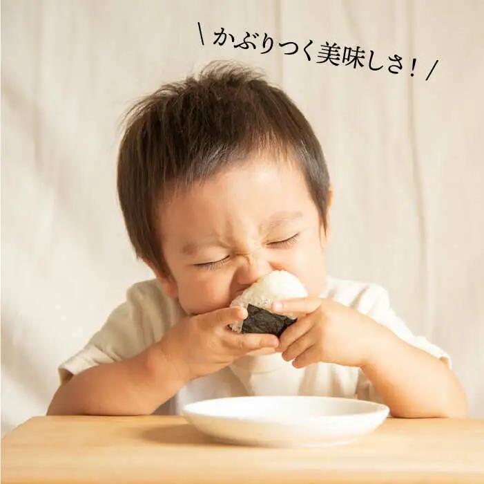 【全3回定期便】一番摘み 有明海産 焼き のり 100枚 ( 10枚 × 10袋 ）博多 海苔 福岡 《糸島》【博多海苔】 [ACG003]