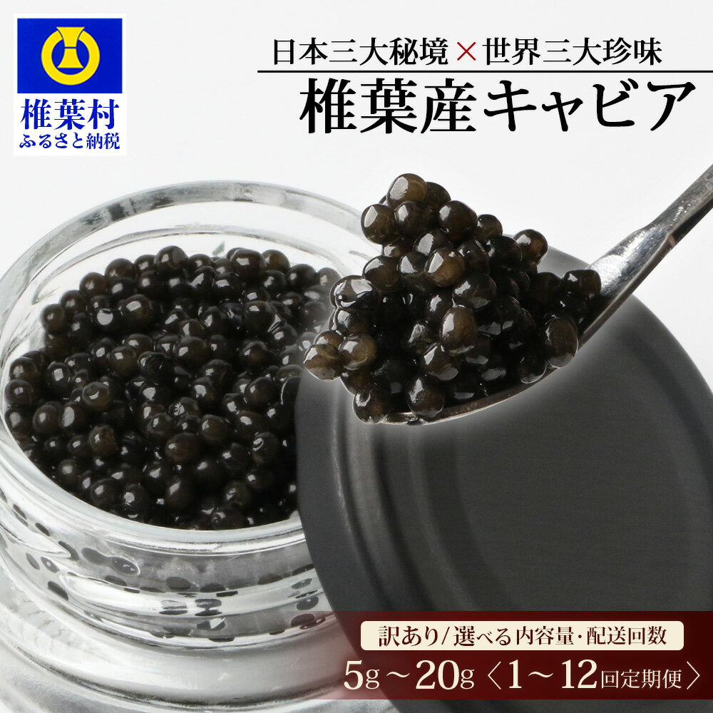 【訳あり】HEIKE CAVIAR 20g 【宮崎県 椎葉村】 チョウザメ 【世界三大珍味×日本三大秘境】