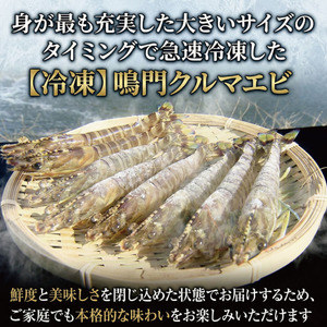 車海老 500g 約12尾～17尾 クルマエビ