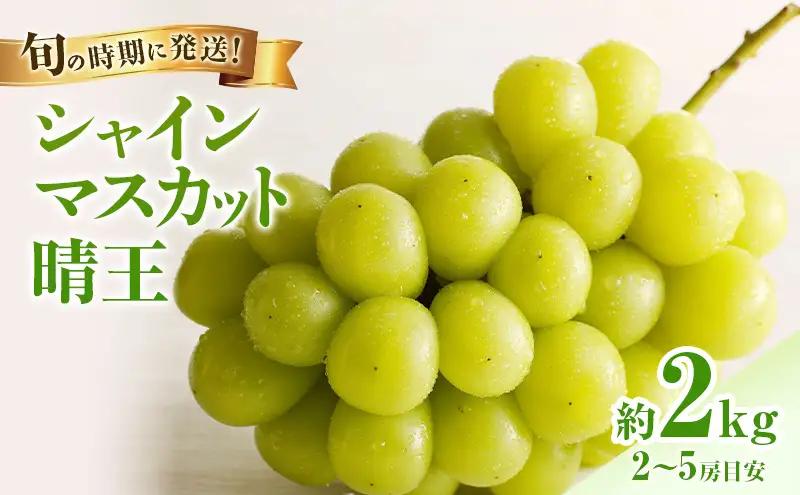 【2026年先行受付】 シャインマスカット 晴王 秀品 大房 約2kg(2～5房) 岡山県産 ぶどう 葡萄 ブドウ ギフト 御礼 プレゼント 御礼 御祝 御供 果物 くだもの フルーツ