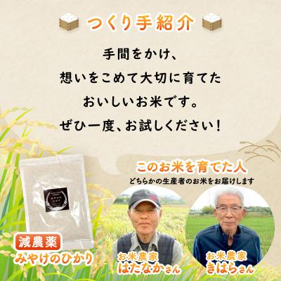 ふるさと納税 三宅町 特別栽培米 みやけのひかり 2合 300グラム お試し 減農薬米 奈良県三宅町 白米 ヒノヒカリ