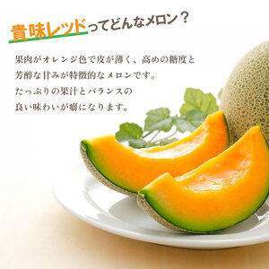訳あり 貴味 レッド 約6kg 以上 ( 2L ~ 6L ) ( 約 3玉 ~ 6玉 ) メロン メロン メロン メロン メロン メロン メロン メロン 