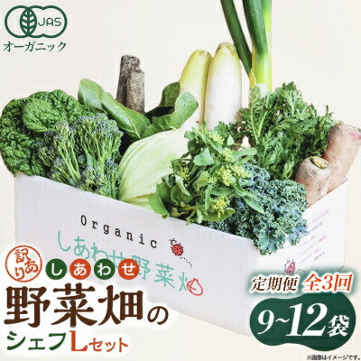 【ふるさと納税】【定期便】しあわせ野菜畑のシェフLセット　(訳あり規格外の有機野菜を一部使用)3回、6回、12回便　【配送不可地域：離島・北海道・沖縄県・四国・九州】【G4066429】