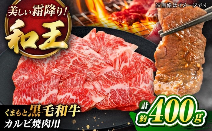
                  くまもと黒毛和牛 「和王」 カルビ焼肉用 約400g (約400g×1パック) / 黒毛和牛 肉 牛肉 黒毛和牛 熊本和牛 わぎゅう ブランド和牛 脂身 焼肉 カルビ ランク 400g 希少 希少部位 niku  5等級 4等級 熊本県産 菊陽町 国産 冷凍 和牛【菊池地域農業協同組合】[BHBQ002]
                