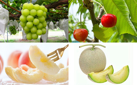 【定期便4回】☆フルーツ王国山形☆『シャインマスカット、紅秀峰、白桃、メロン』 FY25-317