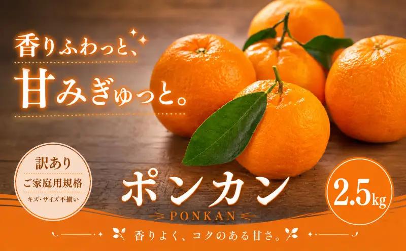 ＜訳あり 愛媛県産ポンカン 合計約2.5kg＞『2027年1月上旬～3月上旬迄に順次出荷予定』 ジューシー 甘い ご家庭用 果汁 果物 くだもの フルーツ みかん オレンジ 柑橘 人気柑橘 特産品 株式会社OSN 愛媛県 西予市 【常温】OOS0033
